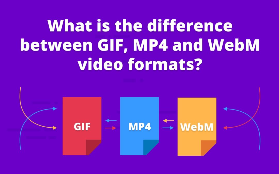 What is the difference between GIF, MP4 and WebM video formats?